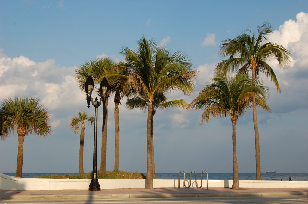 USA – Florida 2011